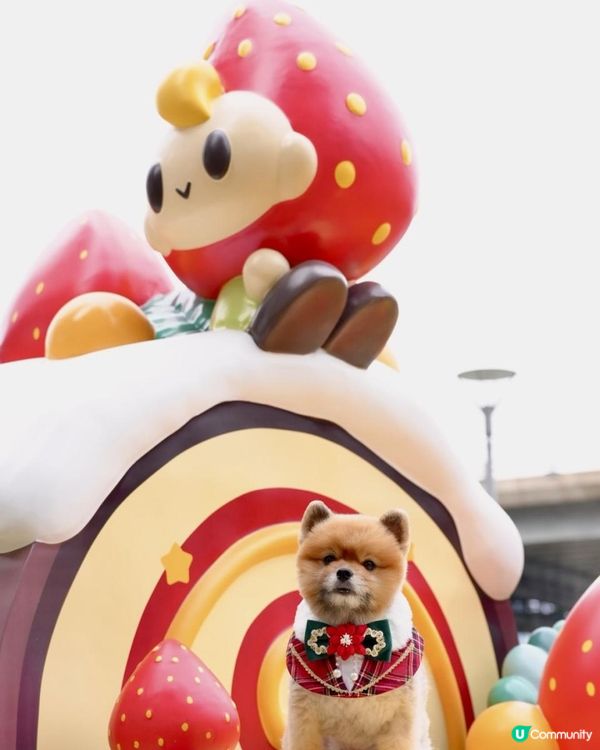 豬家25年聖誕打卡第三彈