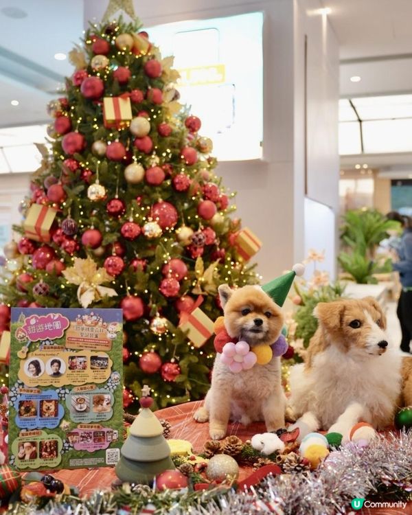 豬家25年聖誕打卡第三彈