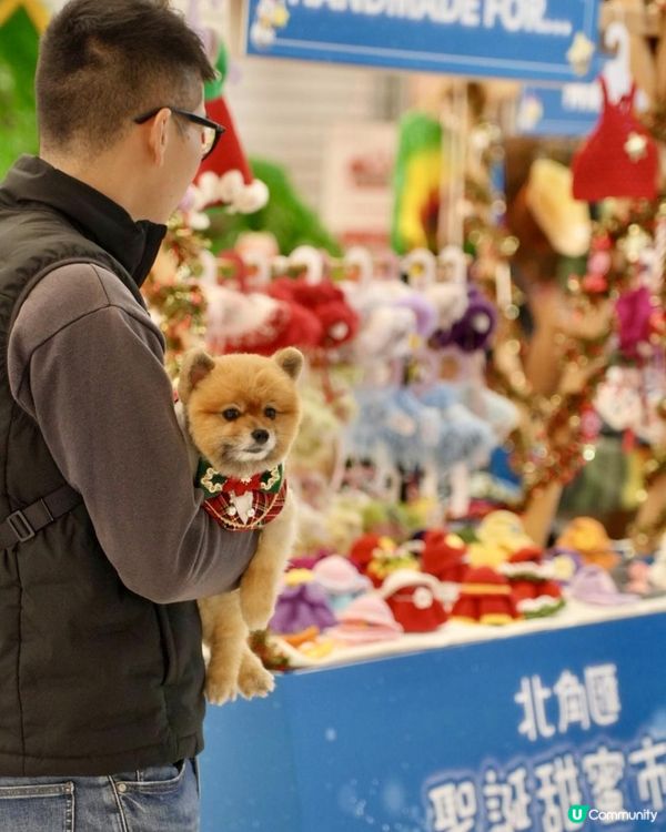 豬家25年聖誕打卡第三彈