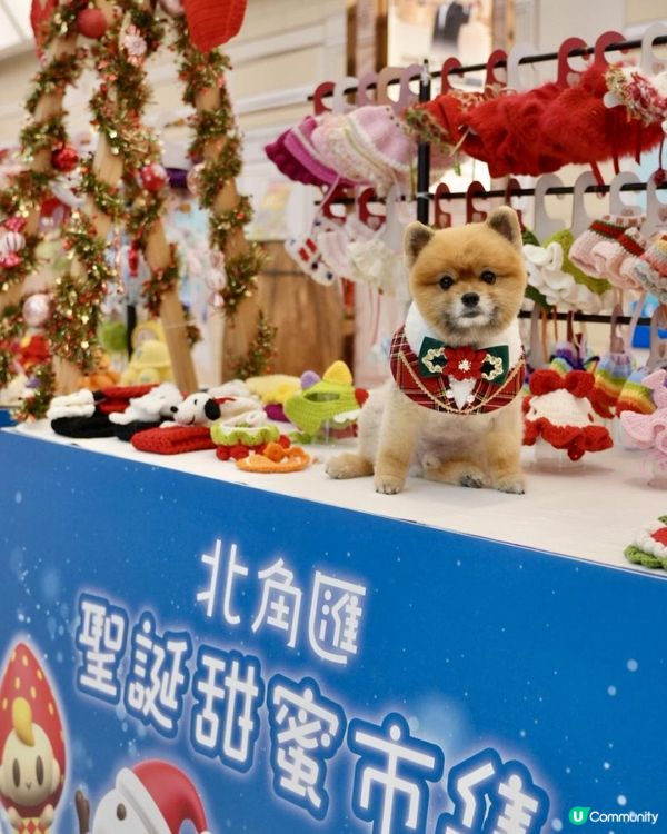 豬家25年聖誕打卡第三彈