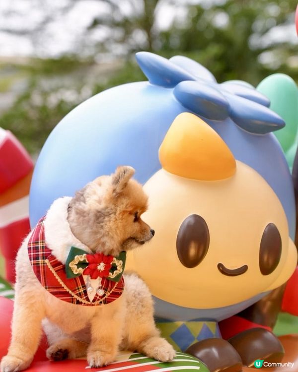 豬家25年聖誕打卡第三彈