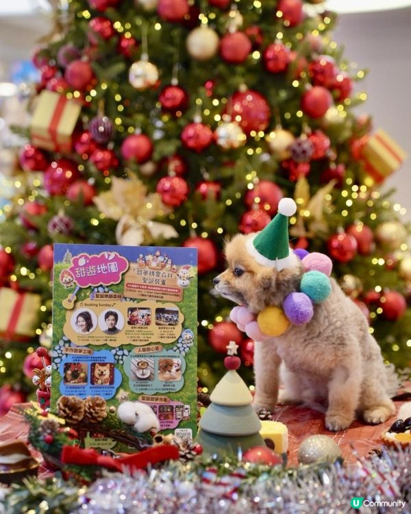豬家25年聖誕打卡第三彈