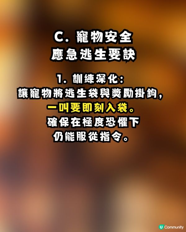 逃生「走佬袋」點執？走火警、寵物逃生、防火自救 Check List