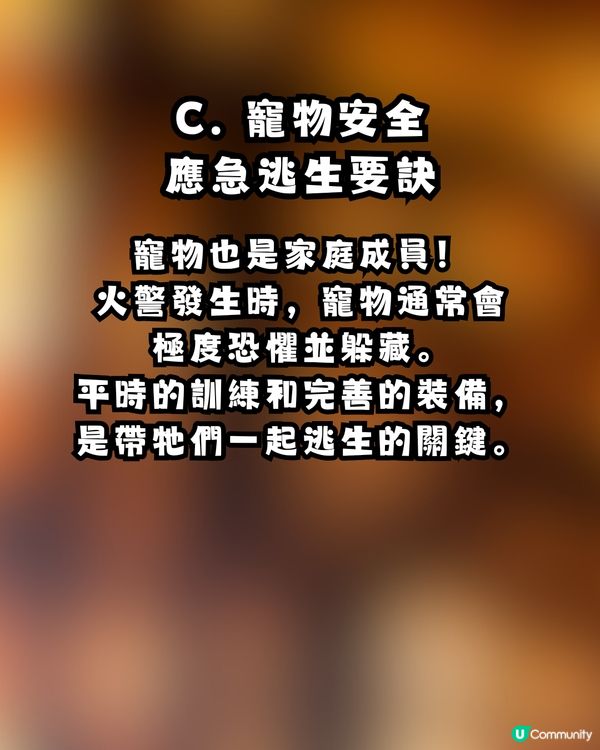 逃生「走佬袋」點執？走火警、寵物逃生、防火自救 Check List