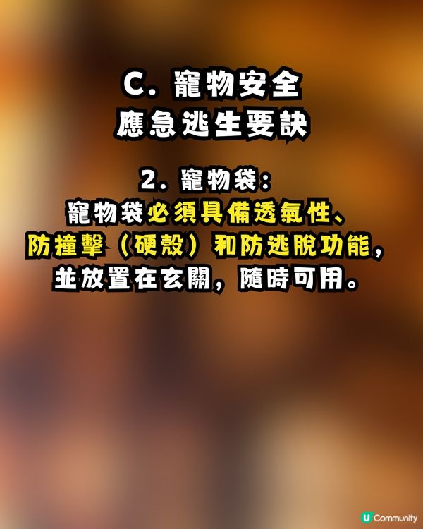 逃生「走佬袋」點執？走火警、寵物逃生、防火自救 Check List