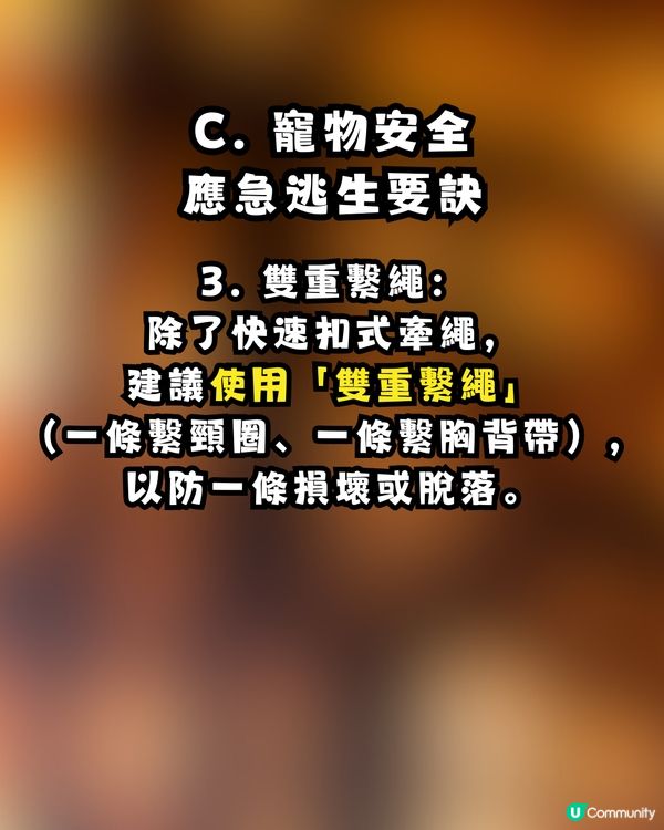 逃生「走佬袋」點執？走火警、寵物逃生、防火自救 Check List