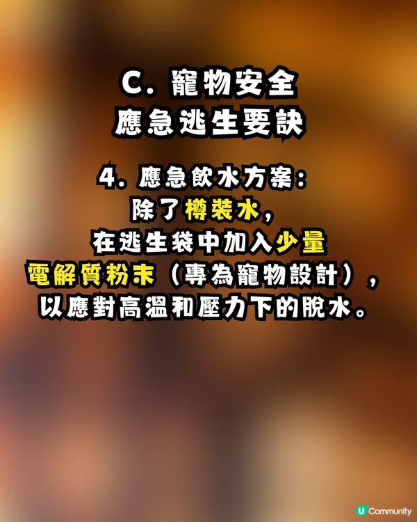 逃生「走佬袋」點執？走火警、寵物逃生、防火自救 Check List