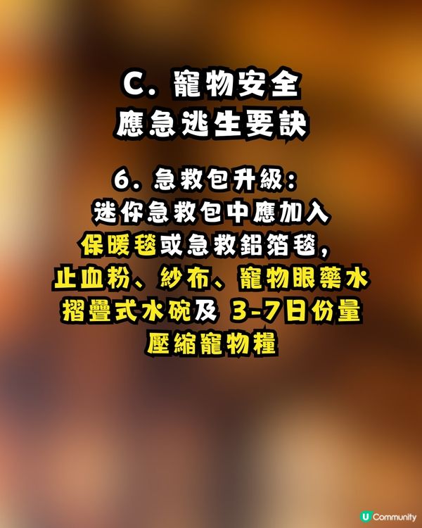 逃生「走佬袋」點執？走火警、寵物逃生、防火自救 Check List