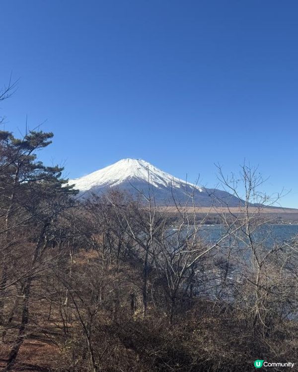 2025/11/28 11月東京遊 Day 6 🏔️富士山🗻