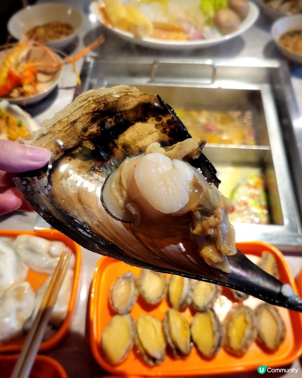 葵芳大西洋火鍋！即撈海鮮勁正🤤🦀🦐！