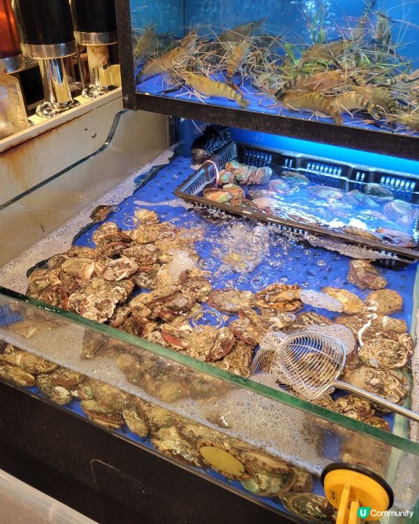 葵芳大西洋火鍋！即撈海鮮勁正🤤🦀🦐！