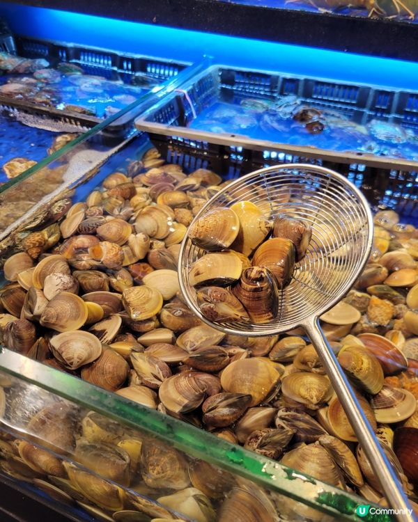 葵芳大西洋火鍋！即撈海鮮勁正🤤🦀🦐！