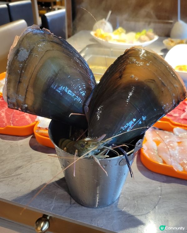 葵芳大西洋火鍋！即撈海鮮勁正🤤🦀🦐！