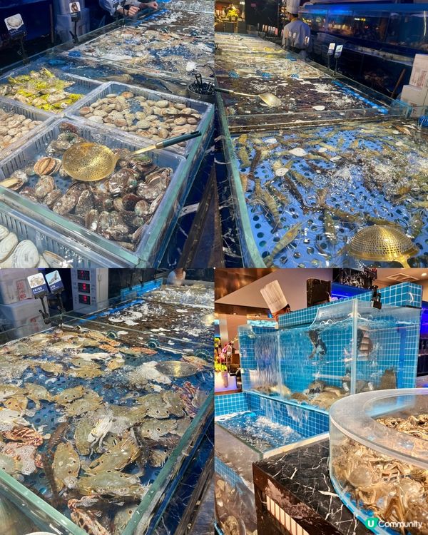 自助餐天花板🦀🦞鮑魚膏蟹海鮮榴槤任食