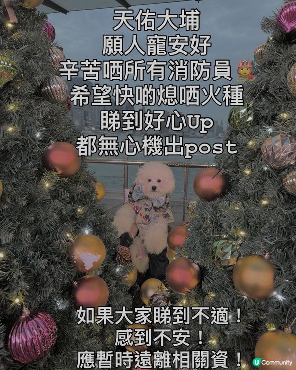 真係睇到好心Up૮₍ o̴̶̷᷄_o̴̶̷̥᷅ ₎ა