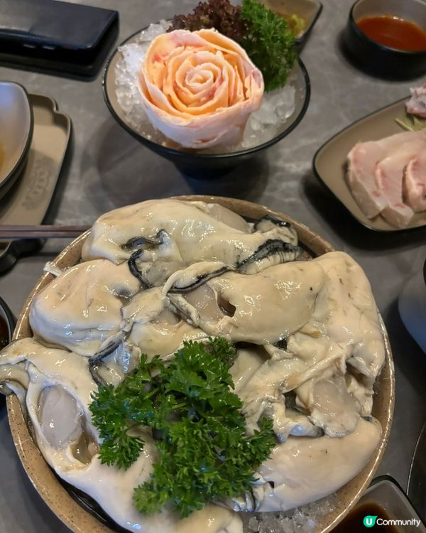 尖咀火鍋🤤生蠔肥牛超正！😋