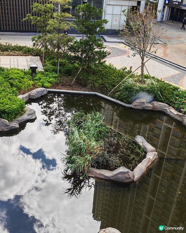 食完早餐，見到有個新地點。散下步曬下太陽真係唔錯 。 感恩😊...