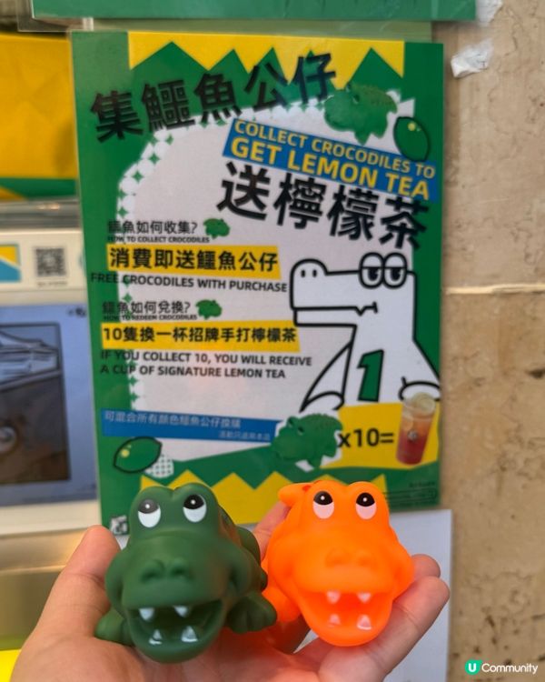 旺角茶飲送可愛鱷魚公仔