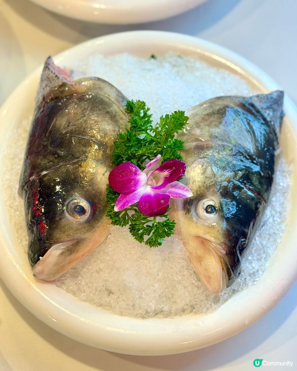 譚魚頭火鍋四人餐！🤤 荃灣開餐啦！🔥