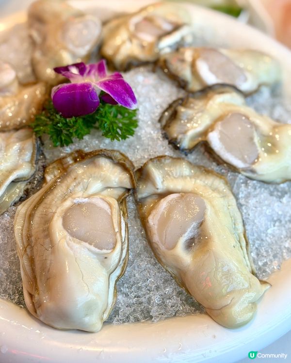 譚魚頭火鍋四人餐！🤤 荃灣開餐啦！🔥