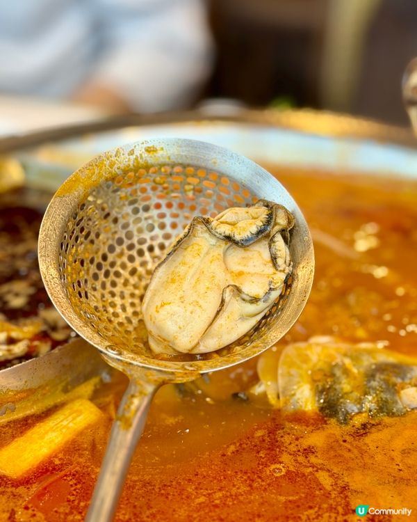 譚魚頭火鍋四人餐！🤤 荃灣開餐啦！🔥