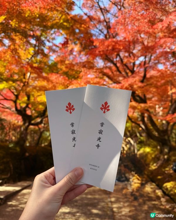🍁嵐山賞楓攻略！避開人潮📸！ 
