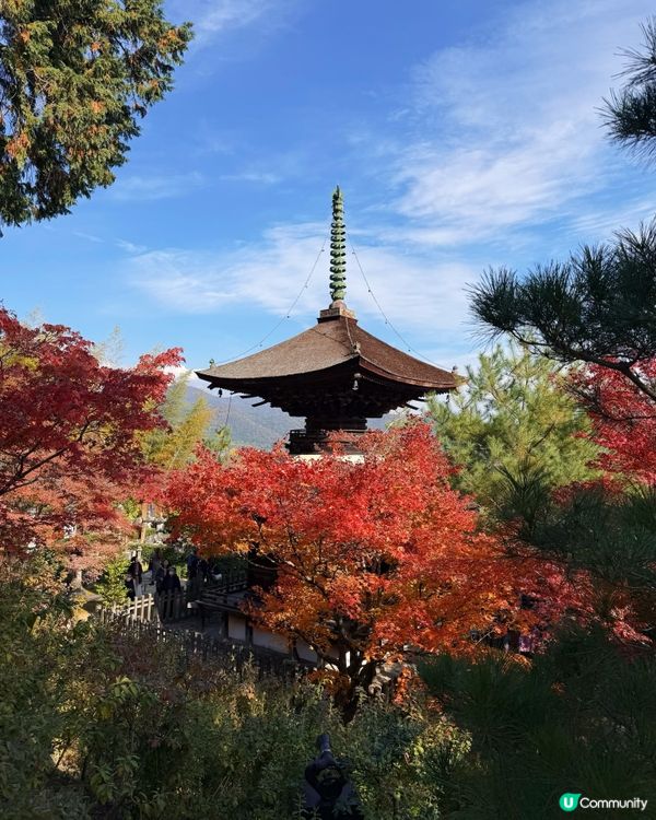 🍁嵐山賞楓攻略！避開人潮📸！ 