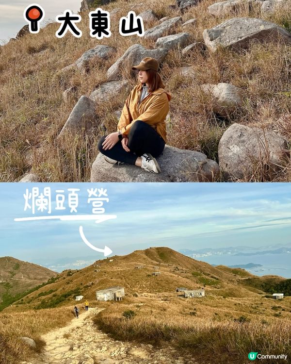 大東山芒草季！金黃芒草海🌾📸