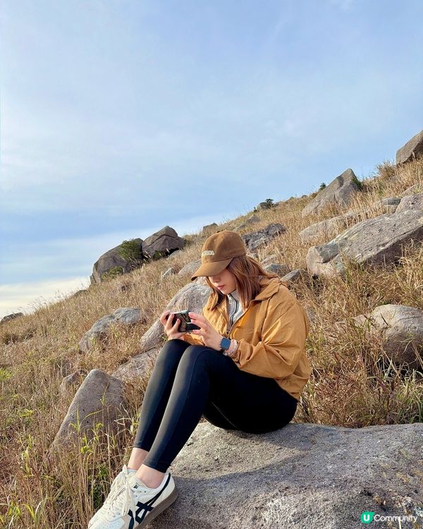 大東山芒草季！金黃芒草海🌾📸