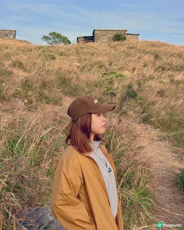 大東山芒草季！金黃芒草海🌾📸