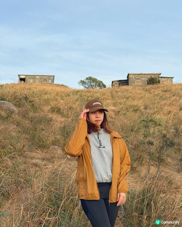 大東山芒草季！金黃芒草海🌾📸