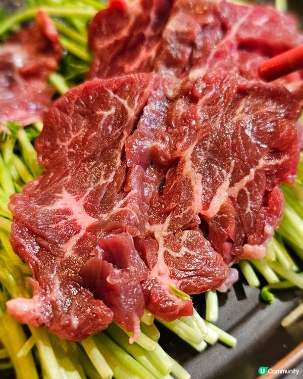 #高質火鍋店 #大滾友火鍋