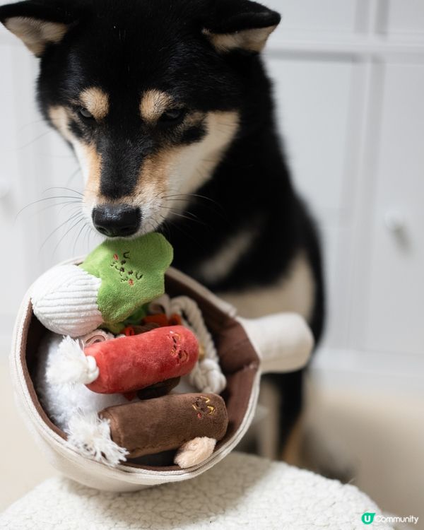 🆕 煲仔飯狗狗嗅聞玩具 🍲