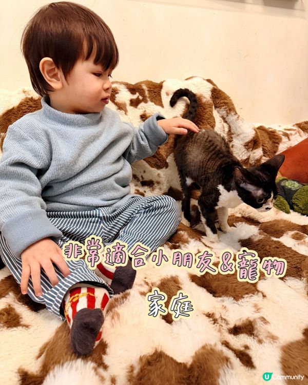 🔆AQUA PRO+TECH 消毒噴霧🔆