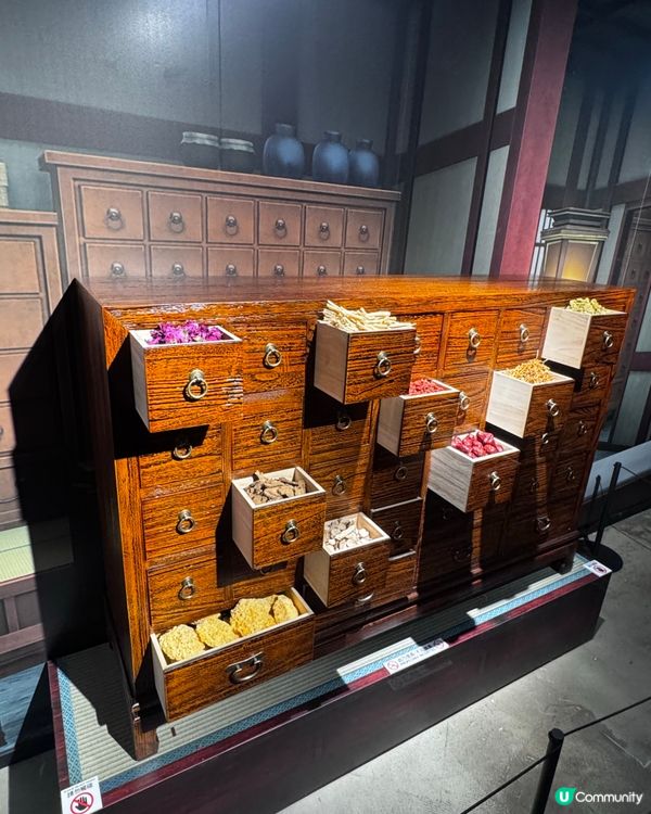 《藥師少女》香港展！貓貓迷衝呀！😻