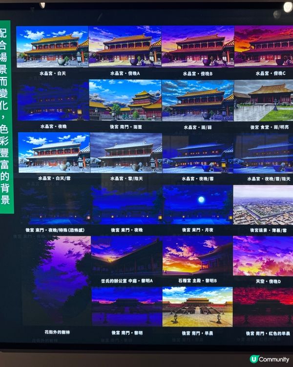 《藥師少女》香港展！貓貓迷衝呀！😻