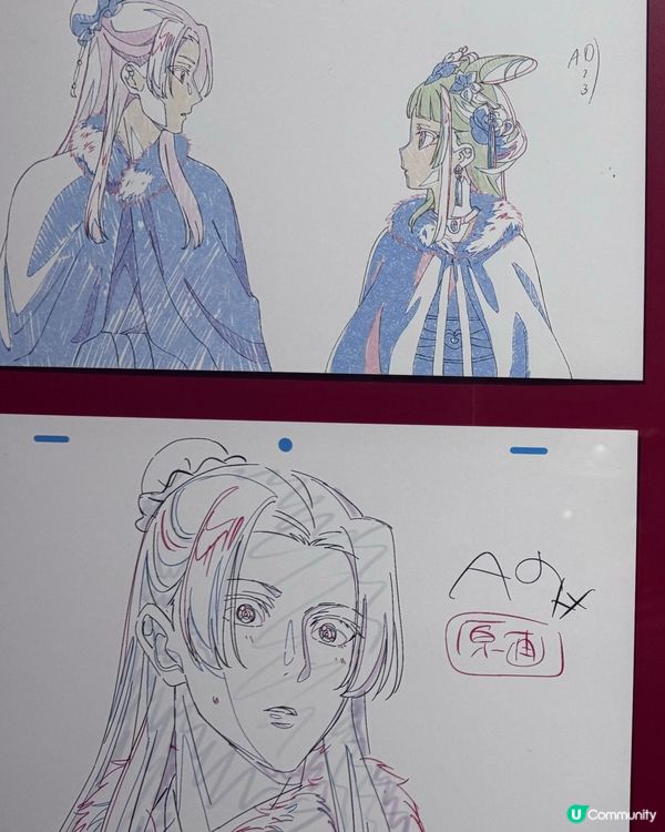 《藥師少女》香港展！貓貓迷衝呀！😻