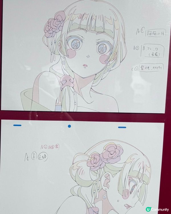 《藥師少女》香港展！貓貓迷衝呀！😻