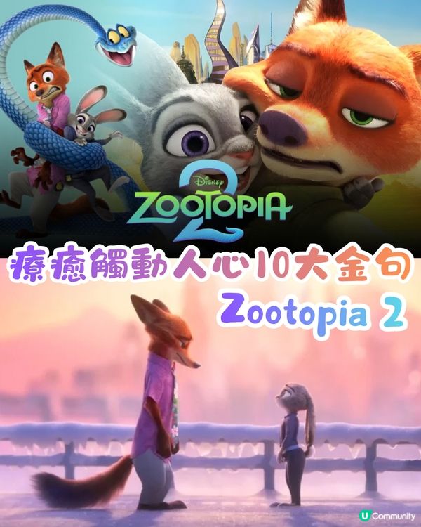 《Zootopia 2 》療癒觸動人心10大金句！超有共鳴！