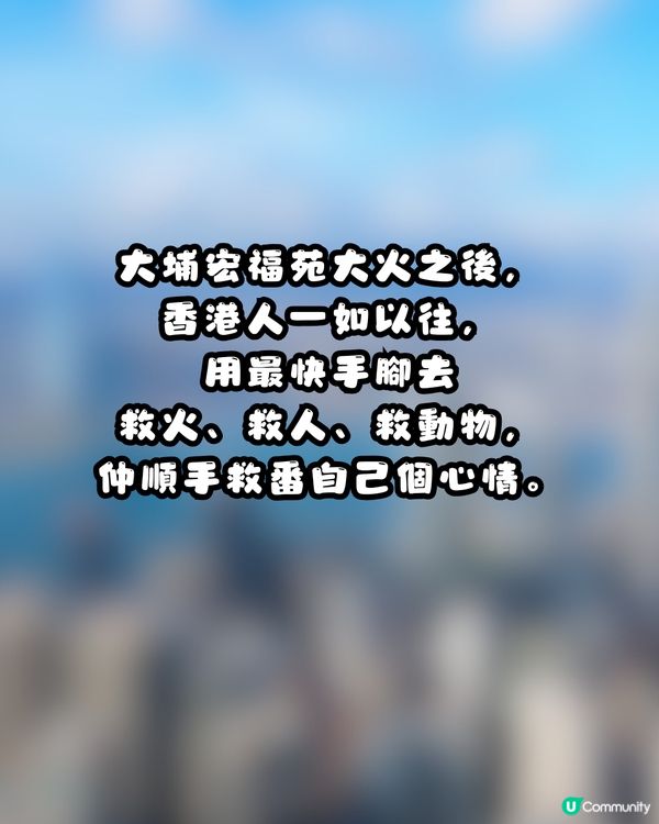 大埔火災｜細數港人5大可愛位！集體投餵義工、跪求誠哥收錢💰網民：你哋班香港人痴線㗎😭💖