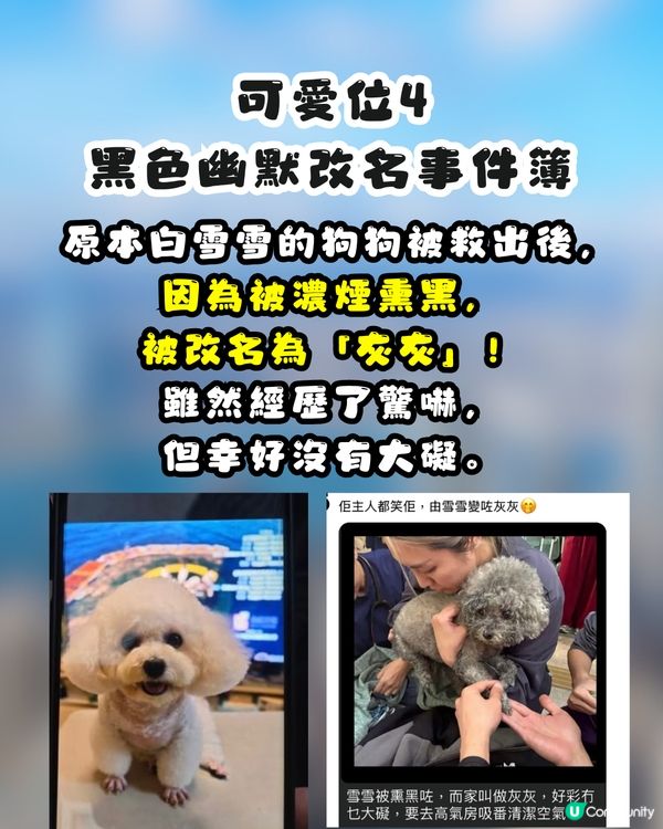 大埔火災｜細數港人5大可愛位！集體投餵義工、跪求誠哥收錢💰網民：你哋班香港人痴線㗎😭💖