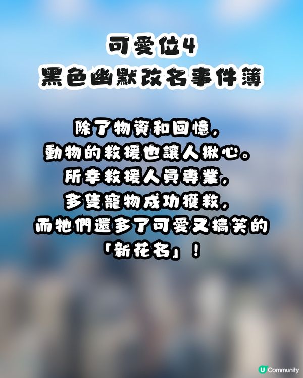大埔火災｜細數港人5大可愛位！集體投餵義工、跪求誠哥收錢💰網民：你哋班香港人痴線㗎😭💖
