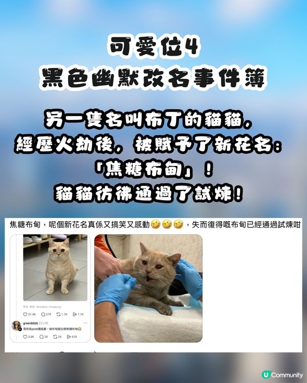 大埔火災｜細數港人5大可愛位！集體投餵義工、跪求誠哥收錢💰網民：你哋班香港人痴線㗎😭💖