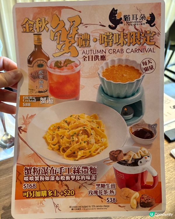 元朗貓主題西餐廳😻手工意粉水準一流😋