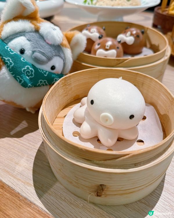 啟德潮州菜點心😍！佛跳牆灌湯餃必試！🥟