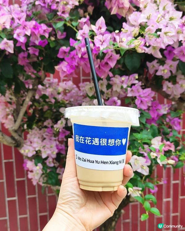 🌺我愛花花🌺之花海打卡！順德晟欣園林🌸 靚爆三角梅😍