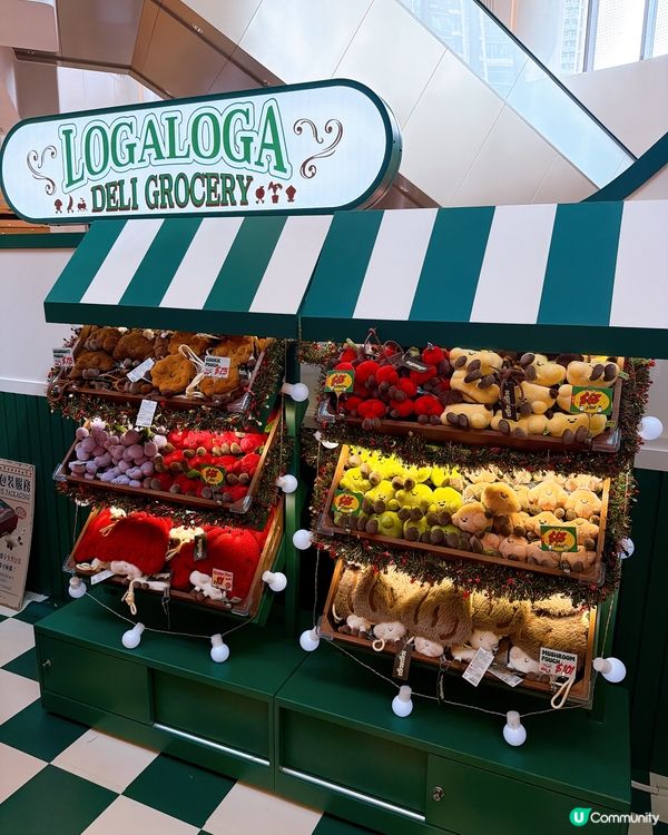 LogaLoga毛公仔雜貨店登陸康城！萌爆你🤩！