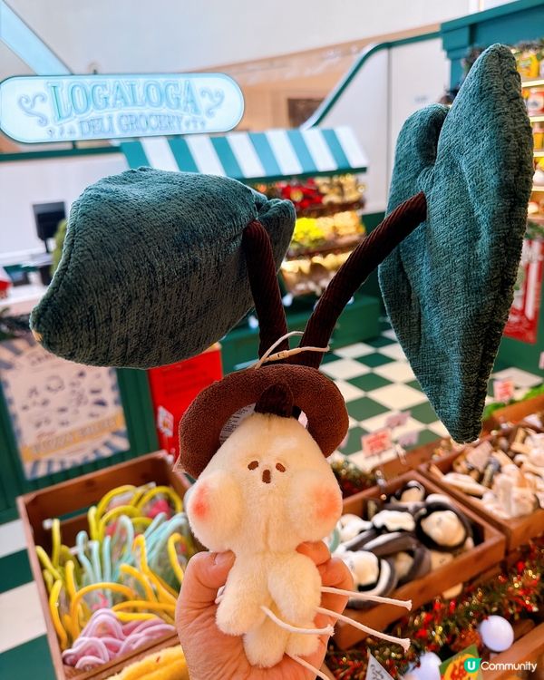 LogaLoga毛公仔雜貨店登陸康城！萌爆你🤩！