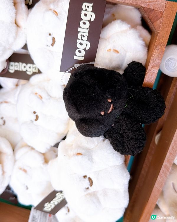 LogaLoga毛公仔雜貨店登陸康城！萌爆你🤩！