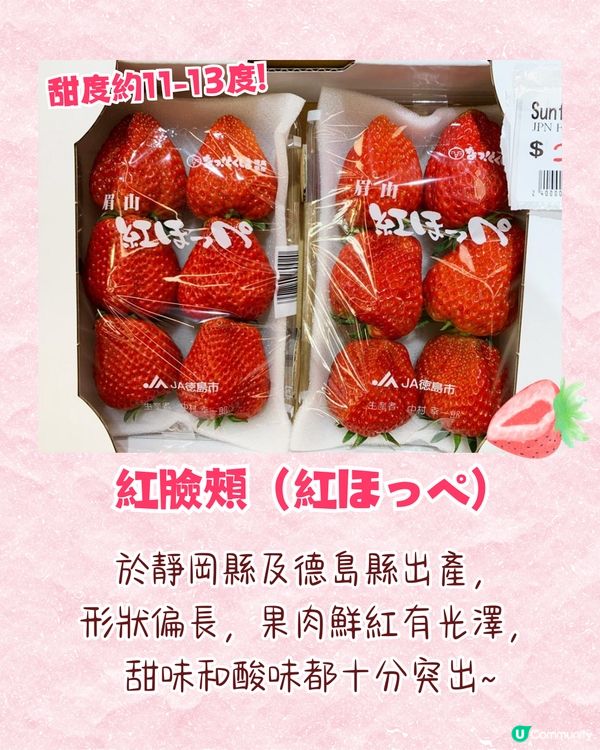 日本士多啤梨神級食法！搭配「呢樣食物」味道昇華附熱門品種攻略